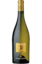 Solosole Vermentino Bolgheri DOC 2019