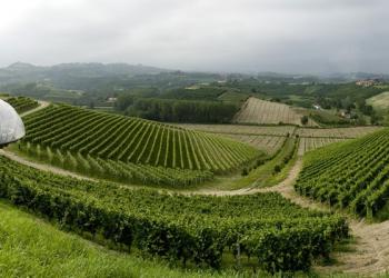 Ceretto