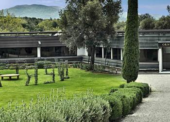 Tenuta dell'Ornellaia