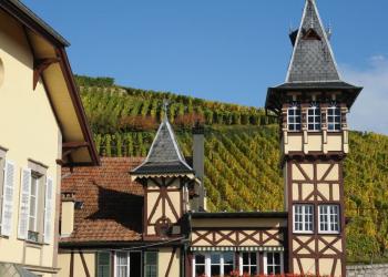Trimbach