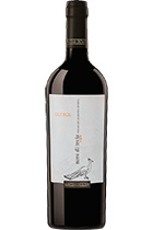 Nero di Troia Puglia Canace 2013
