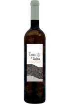Termo de Lisboa 2014