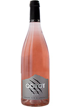 QOTOT Rose 2015