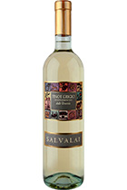 Pinot Grigio delle Venezie 2016