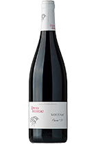 David Moreau Cuvee S Santenay AOC 2014