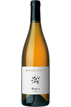 Selekcija Ribolla 2014