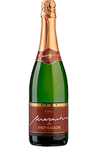 Cava Brut Josep Masachs