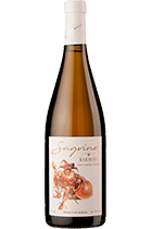 Sagvine Kakhuri Georgian Wine House 2016