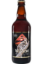 Cairngorm Wild Cat
