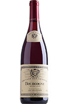 Louis Jadot Bourgogne AOC Couvent des Jacobins Rouge 2016