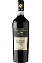 Amarone della Valpolicella Selezione Antonio Castagnedi 2013