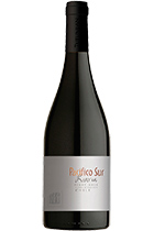 Apaltagua Pacifico Sur Reserva Pinot Noir Curico Valley DO 2018