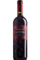 Arzuaga Navarro La Planta 2019