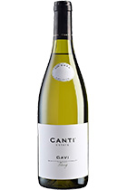 Canti Gavi DOCG 2019